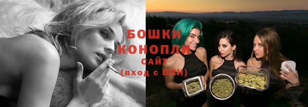 молекула духа Верхний Тагил